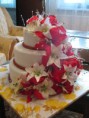 /album/torty/img-2266-jpg/